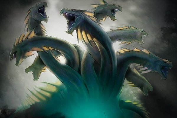 Kraken 20at net