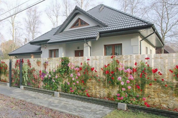 Как выводить деньги с кракена