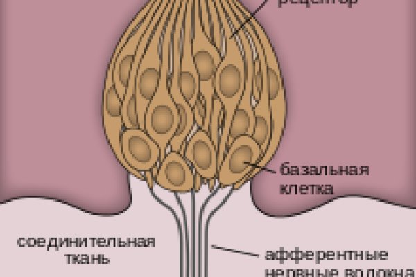 Кракен пользователь не найден что