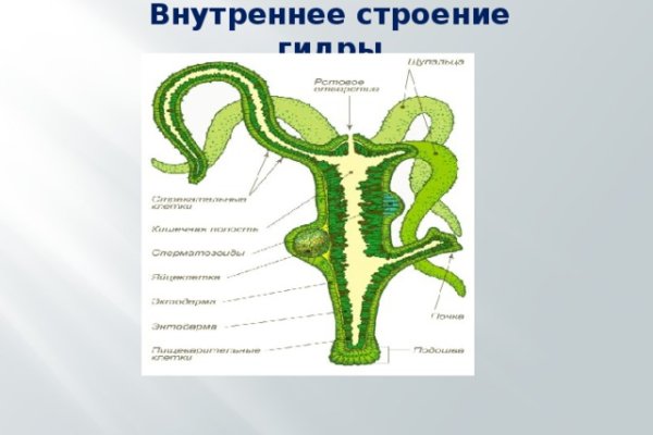 Ссылки тор браузер