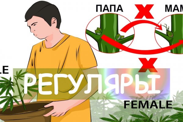 Кракен тор что это