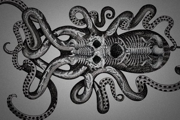 Ссылка на kraken at